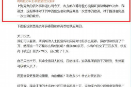 玉环为什么选择专业追讨公司来处理您的债务纠纷？